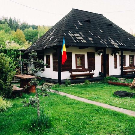 Casa Rares Sucevita Bagian luar foto