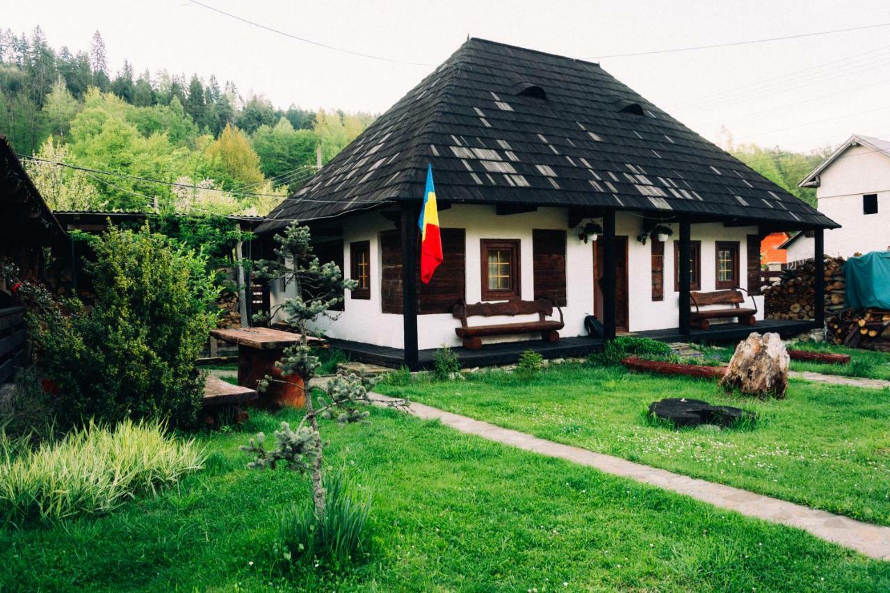 Casa Rares Sucevita Bagian luar foto